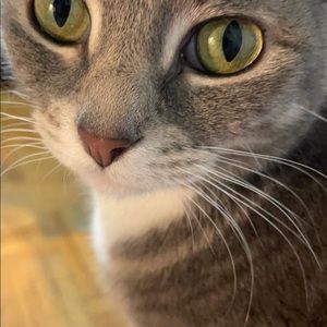 Meet your Posher, Maksym